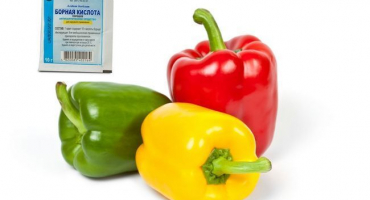 Je možné stříkat pepř s kyselinou boritou pro vaječník a jak připravit roztok